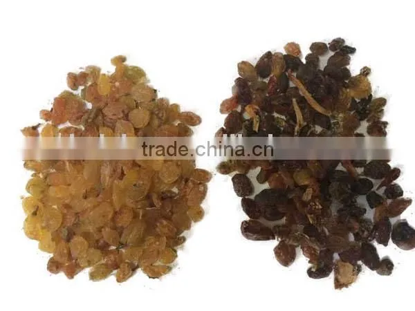 2016 With 5000+pixel Raisins Color Sorter With Fast Detection and High Identification Rate,raisins Grading Machine photo-5
