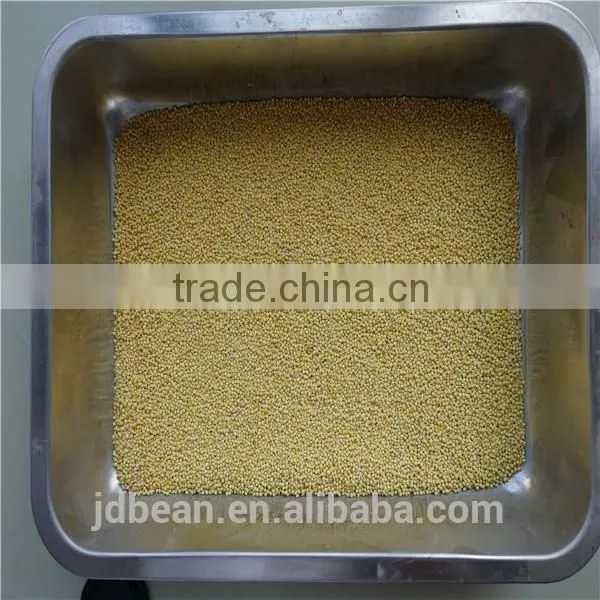 Organic Hulled Glutinous Yellow Broomcorn Millet Hot Sale for Supermarket photo-4