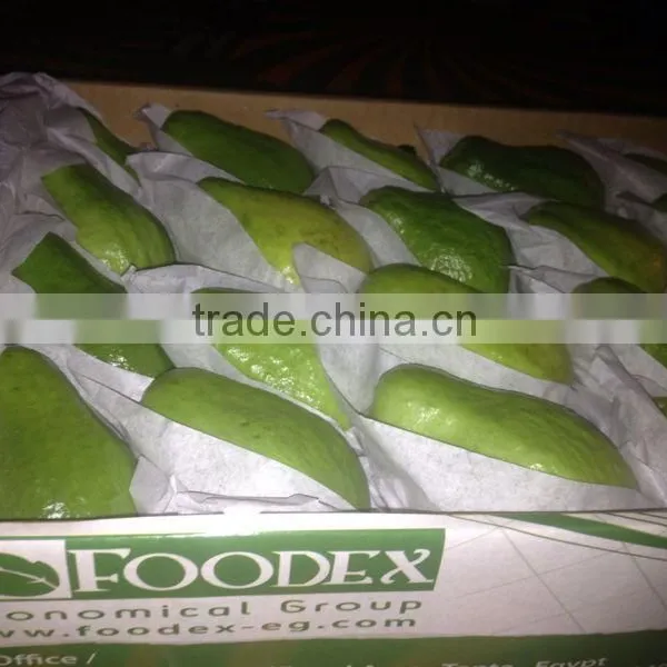 Low Price High Quality Of Egyptian Fresh Fruits Guava photo-2