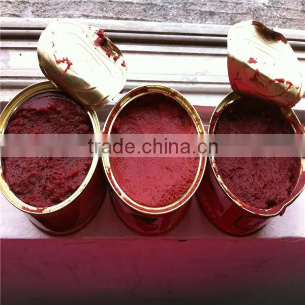 Canned Tomato Paste photo-6