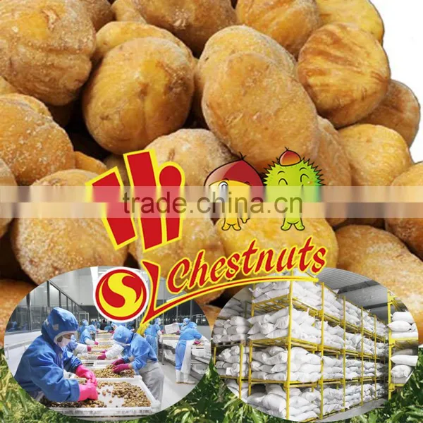 Frozen Peeled Chestnuts-Best Chestnuts Quality--Whole Sale Chestnuts Price photo-6