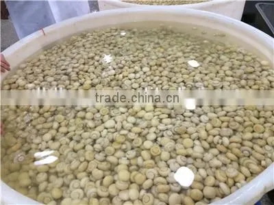 Brine Meter Light Yellow Mushroom Slices Brine Champignon Mushroom High Quality Champignon Mushrooms Brine Salted Boiled in Bag photo-3