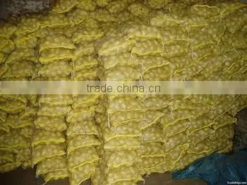 Bangladesh Origin Potatos