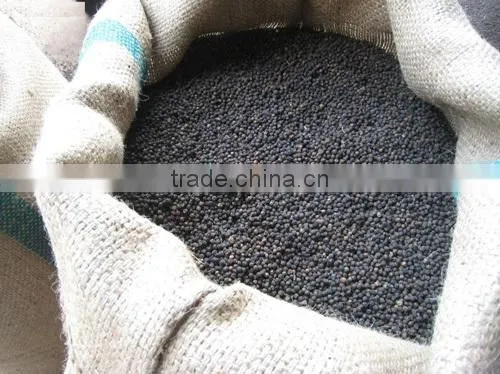 Selling Black Pepper Import Vietnam at Cheap Price photo-5