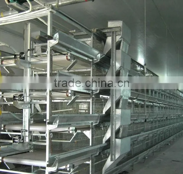 Poultry Farming Equipment