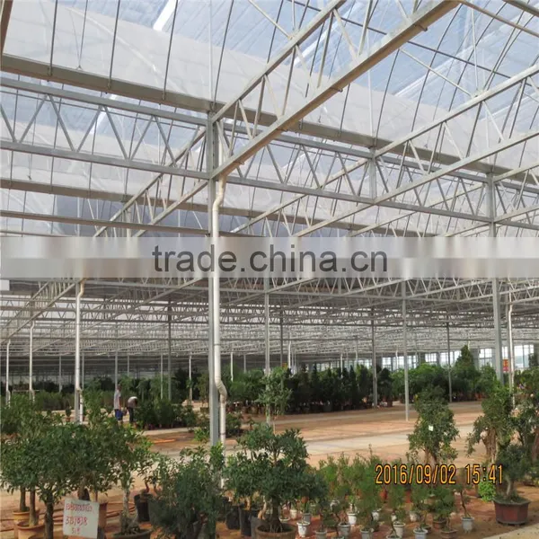 Tropical Sawtooth Greenhouse photo-6