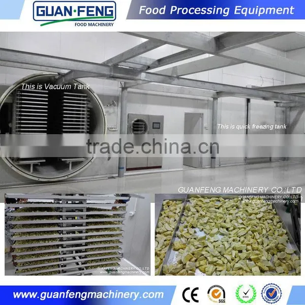 Fruits & Vegetables Lyophilization Machine photo-3