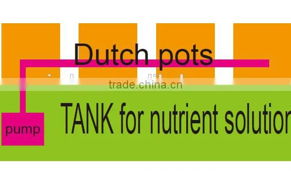 Dutch Bucket System photo-5