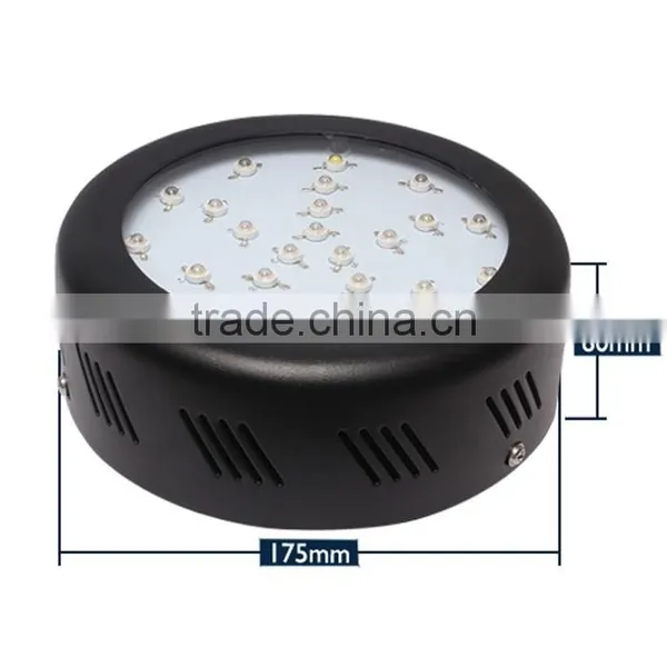 Best Thing to Sell Classical Style, Unbeatable Prices Green House 75w Hydroponic Grow Light photo-3