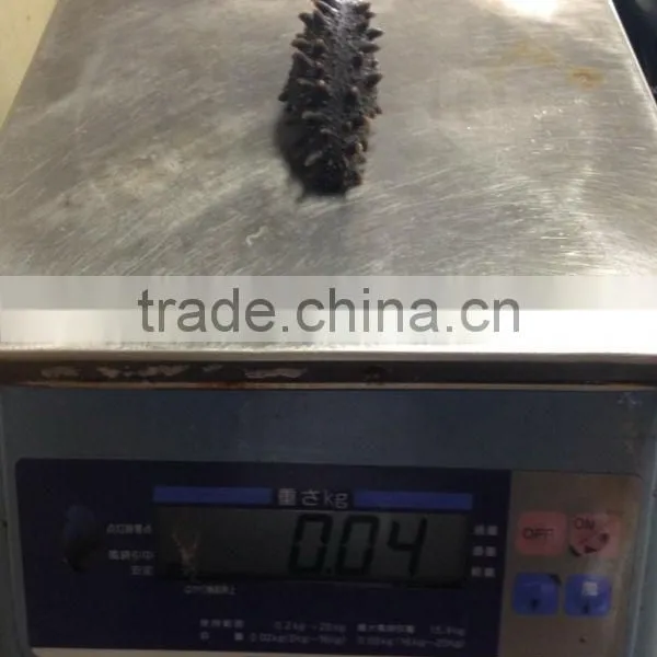 Dried Sea Cucumber/ Dried Salted Sea Cucumeber photo-5