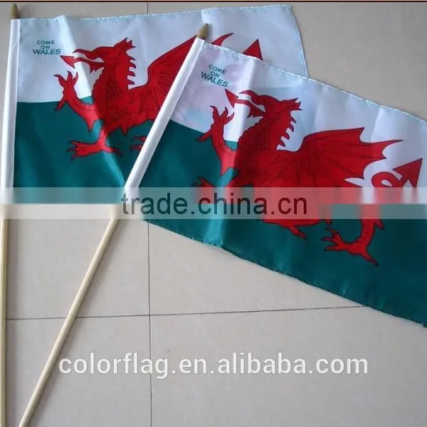 Polyester Sports Hand Flag photo-4