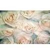 Ribbon Embroidered Fabric