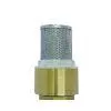 Brass Check Valve