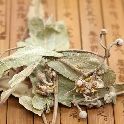 Linden Dried Tea Drying Machine photo-4