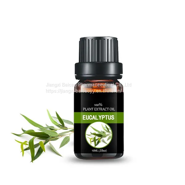 Factory Wholesale Eucalyptus Essential Oil Pure Natural Oil