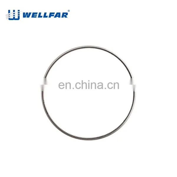 Wellfar 3116 Repairment Piston Ring For Caterpillar 3116 Engine Parts photo-5