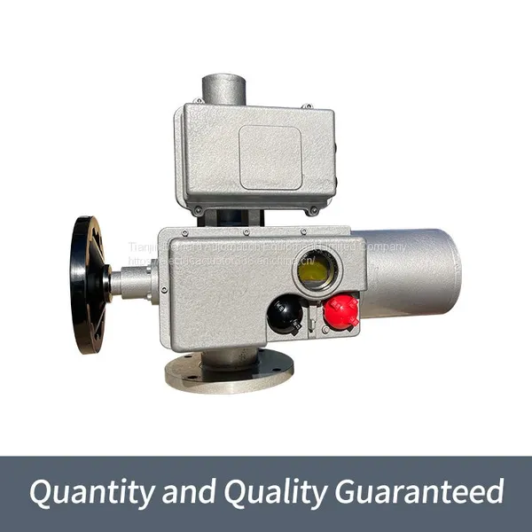 Bernard Angle Stroke Electric Actuator BDZ-45F1250L Strongly Sealed Electric Flow Valve photo-4
