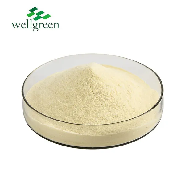 Wellgreen Supply Non-GMO Soybean Extract 20%-40% Soy Isoflavones Soybean Soluble Polysaccharides Powder photo-2