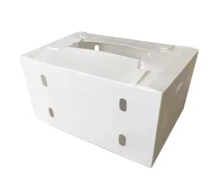Waterproof Corrugated Plastic Produce Boxes Wholesaler From China photo-5