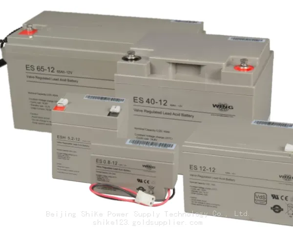 Wing Battery（China）Co., Ltd.