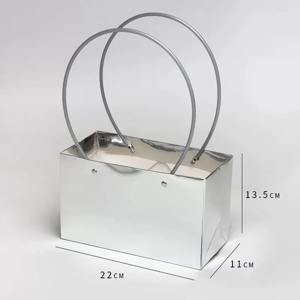 Paper Luxury Slivery Packaging Blink Bag photo-3