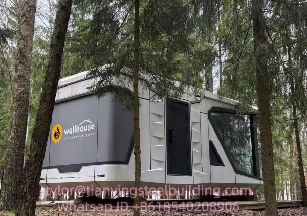 Outdoor Hotel Resort Mobile Prefab Tiny Houses Home Space Capsule Movable Homes Container
