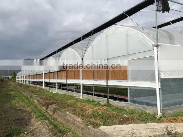 UV Treated Plastic Greenhouses for Sale photo-2