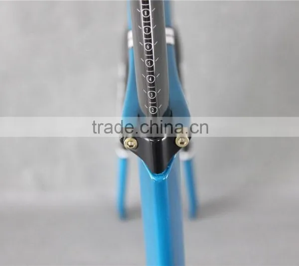 New Design Painting Track Frame Full Carbon Fiber Track Bike Frame photo-3