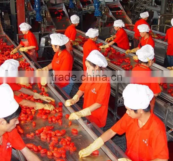Tomato Paste photo-3