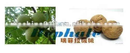 Green Walnut Sheller