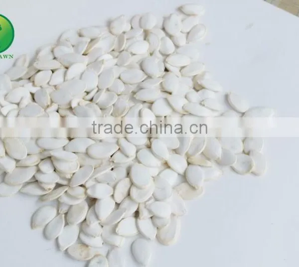 Crop Top Wholesale Snow White Pumpkin Seeds for Sale photo-3