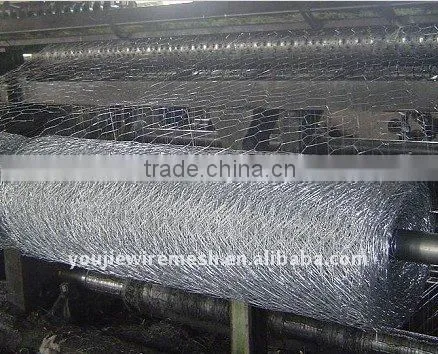 Heavy Hexagonal Wire Mesh