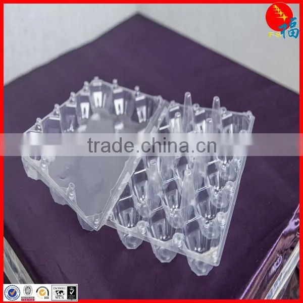 Packing PET Film photo-6
