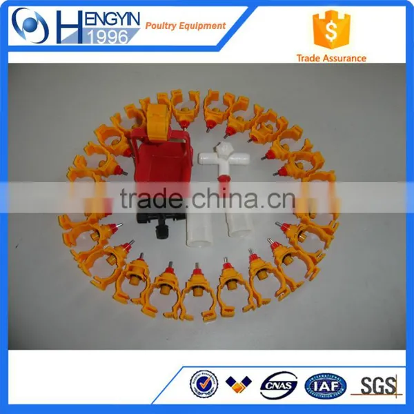 Plastic Chicken Feeder Drinker photo-5