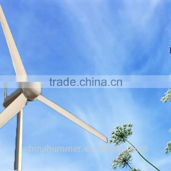 Reliabe and Quiet Running Wind Turbine Generator 3kw for Home /farm/base Station photo-4