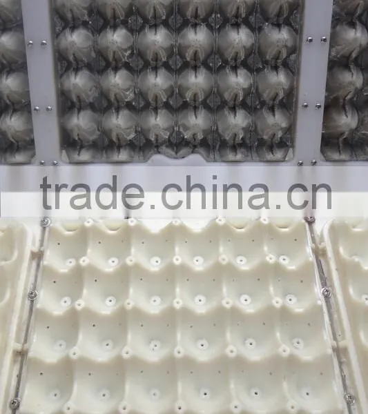 Automatic and High Capacity Egg Tray Making Machine Production Line photo-2
