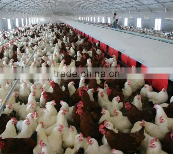 2014 Hot-sale Automatic Chicken Laying Nest