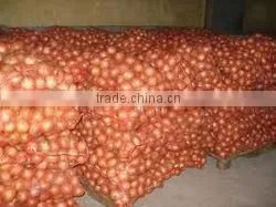 Best Quality Fresh Onions for Sale