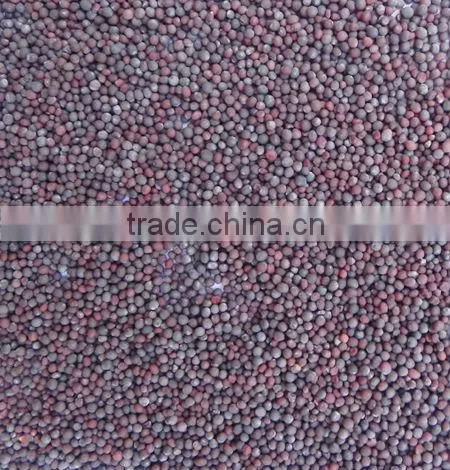 MUSTARD SEED
