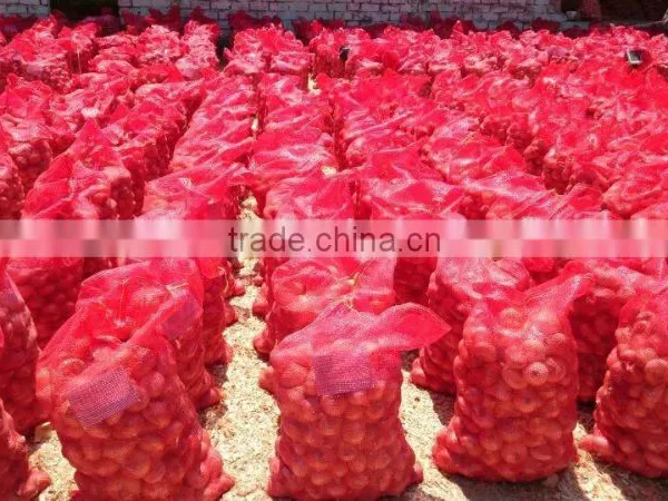 ONION SIZES ( 40 - 60 - 50 - 70 - 60 - 80 - up to 100 mm ) photo-5