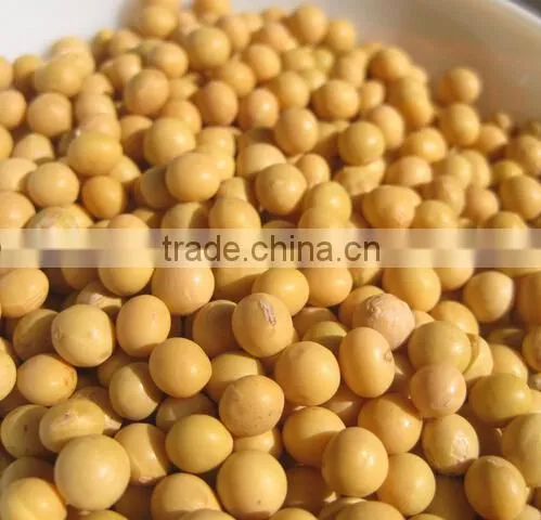 Wholesale Price Raw Soybean photo-2