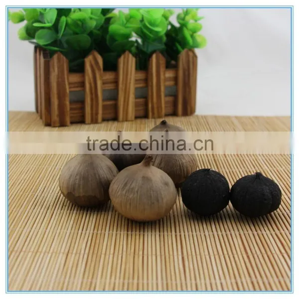 Transparent Canned Packed Aged Black Garlic Extract Powder photo-6