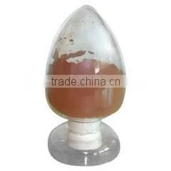 High Quality European Bilberry Extract photo-5