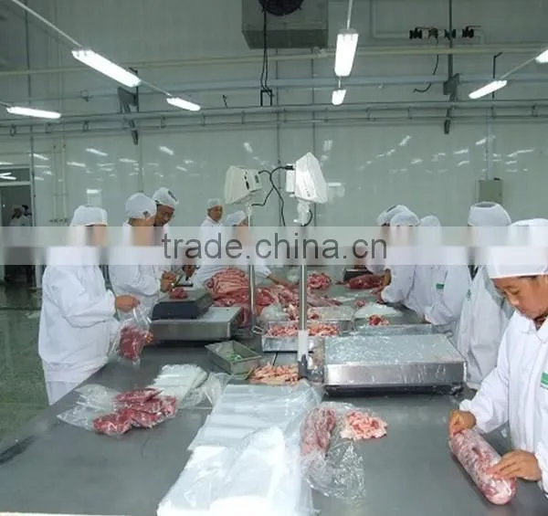Poultry Slaughter Equipment/chicken Meat Processing Machinery /chicken Meat Cutting Machine photo-5