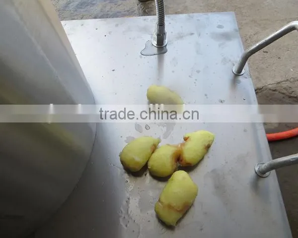 2015 Promotion Electric Potato Peeler photo-4