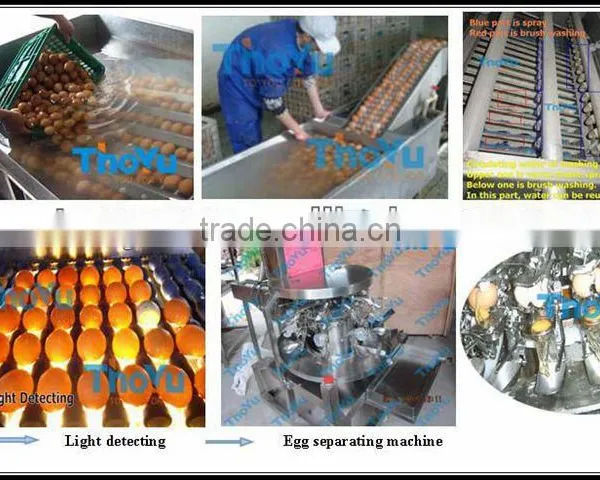 Best Selling Egg Yolk and White Seperator 10000pcs/h on Bakery Exhibition +86-133-3371-9169 photo-2