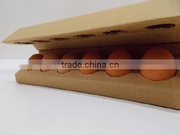 HT-D100 Automatic Egg Packing Machine From China photo-2