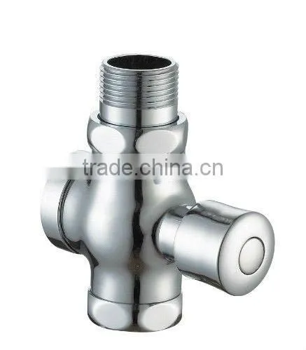 Time Delay Toilet Flusher