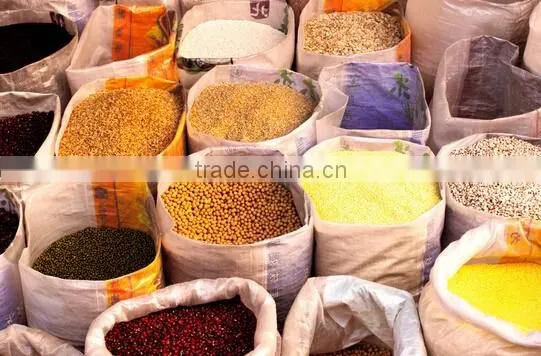 Seed Gravity Purifier photo-6