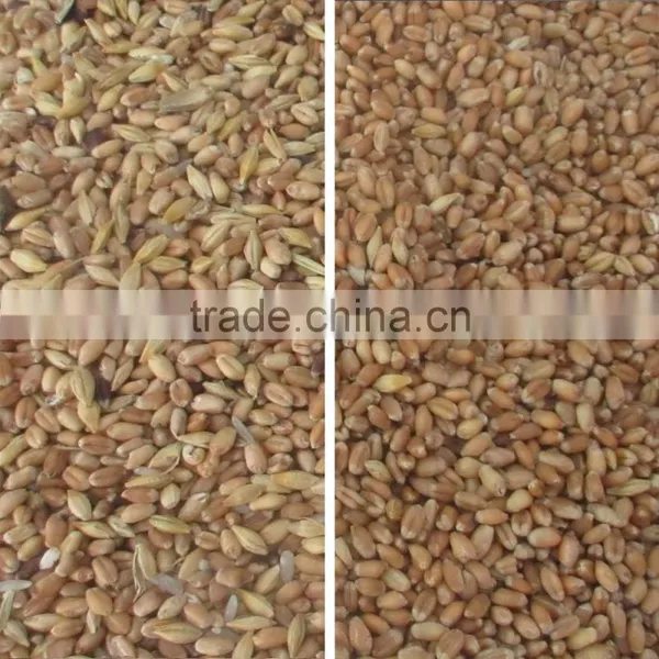 High Output Capacity Wheat Color Sorter Machine/wheat Separator photo-4